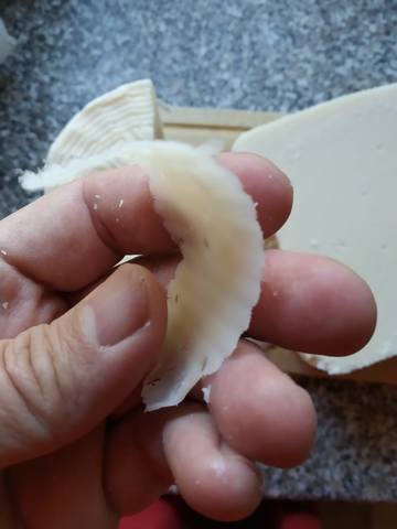 Сырные истории, или Сыроварня дома