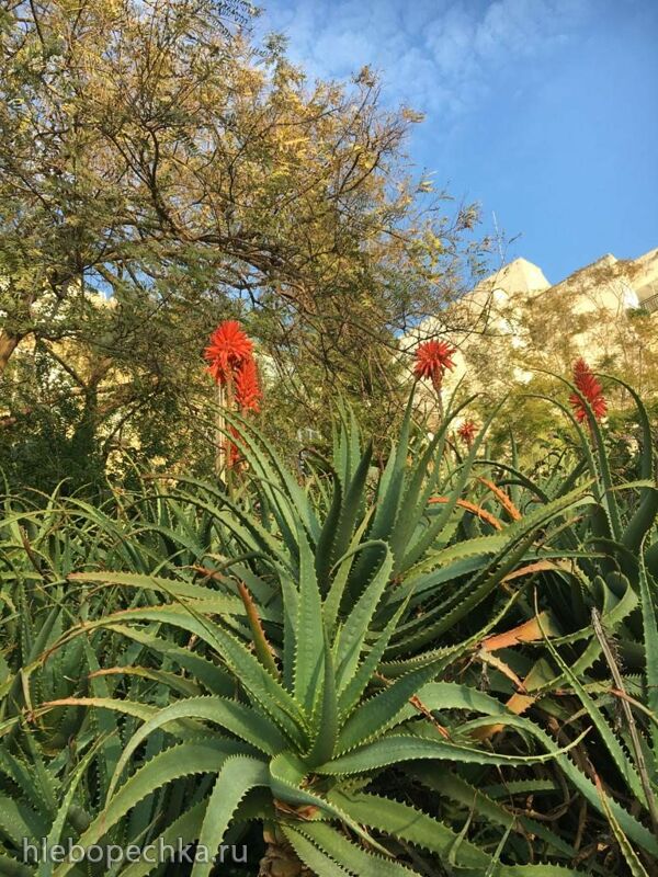 Чайная беседка