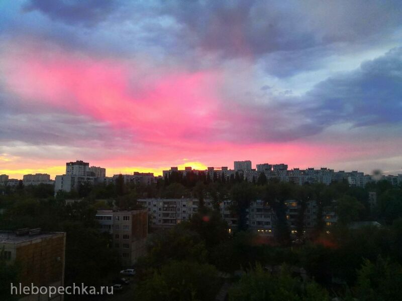 Чайная беседка