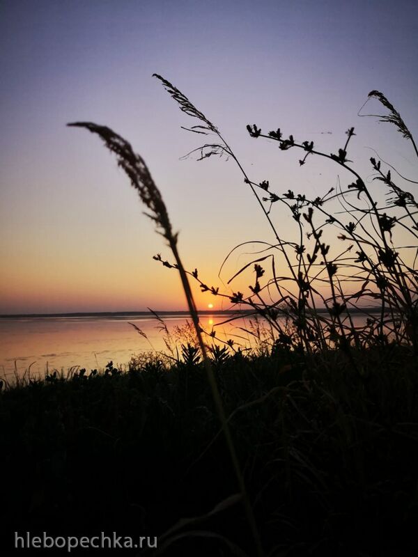 Чайная беседка