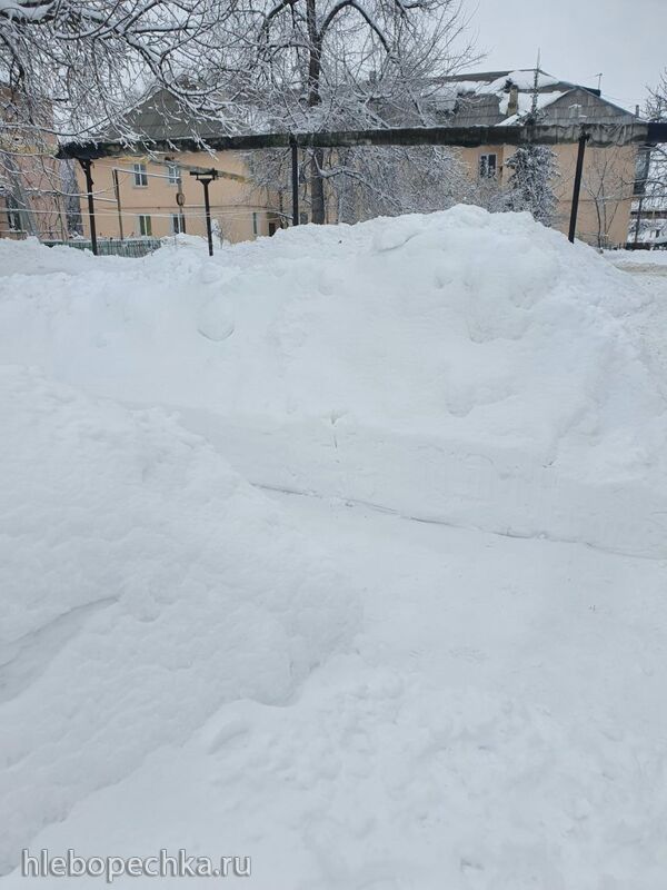 Чайная беседка