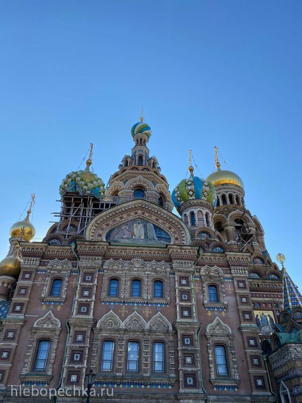 Tapтaлeтки & Ко