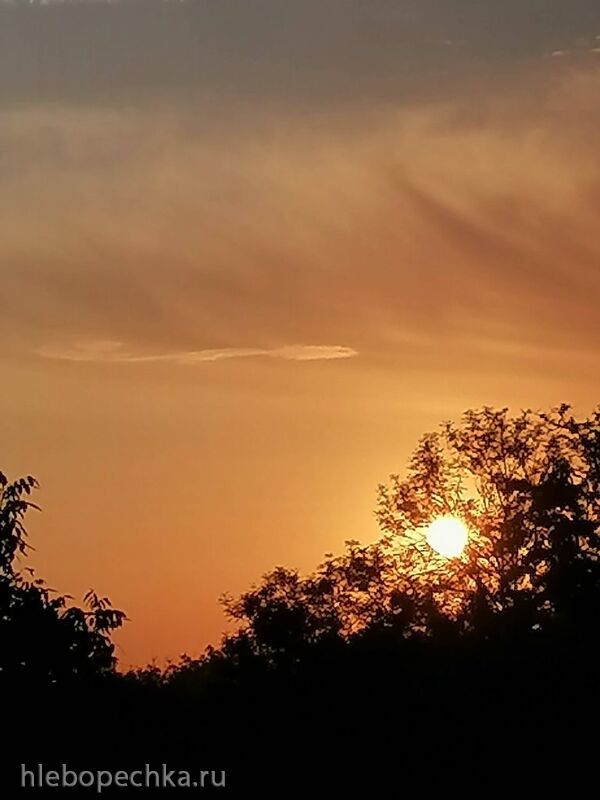 Чайная беседка