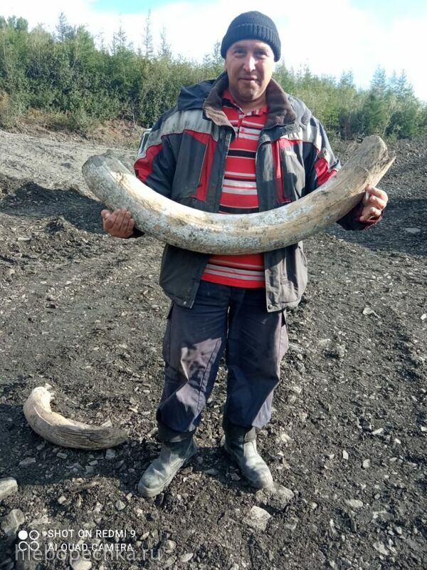 Чайная беседка