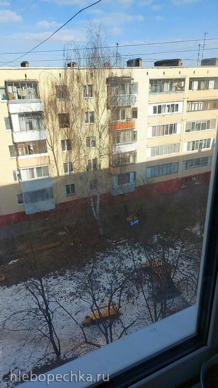 Tapтaлeтки & Ко