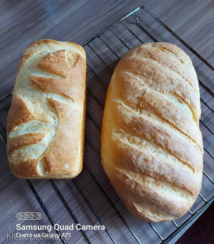 Tapтaлeтки & Ко