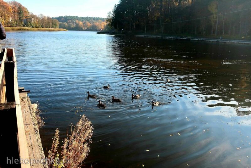 Ну здравствуй, Калининград! 35 лет спустя