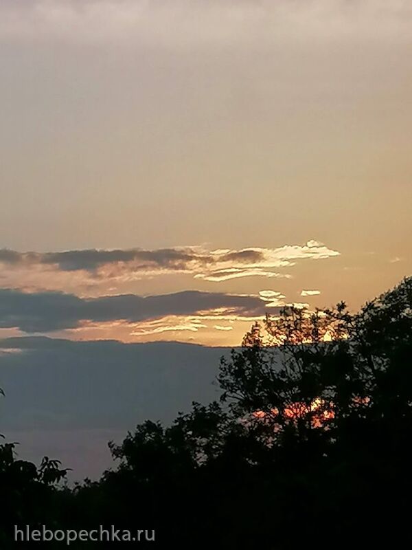 Чайная беседка