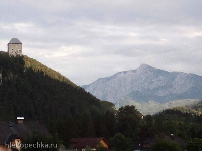 Tapтaлeтки & Ко