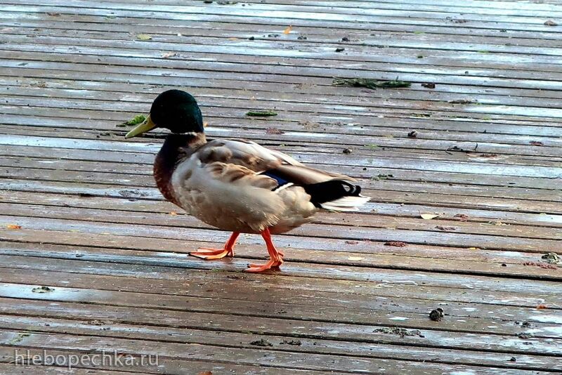 Ну здравствуй, Калининград! 35 лет спустя