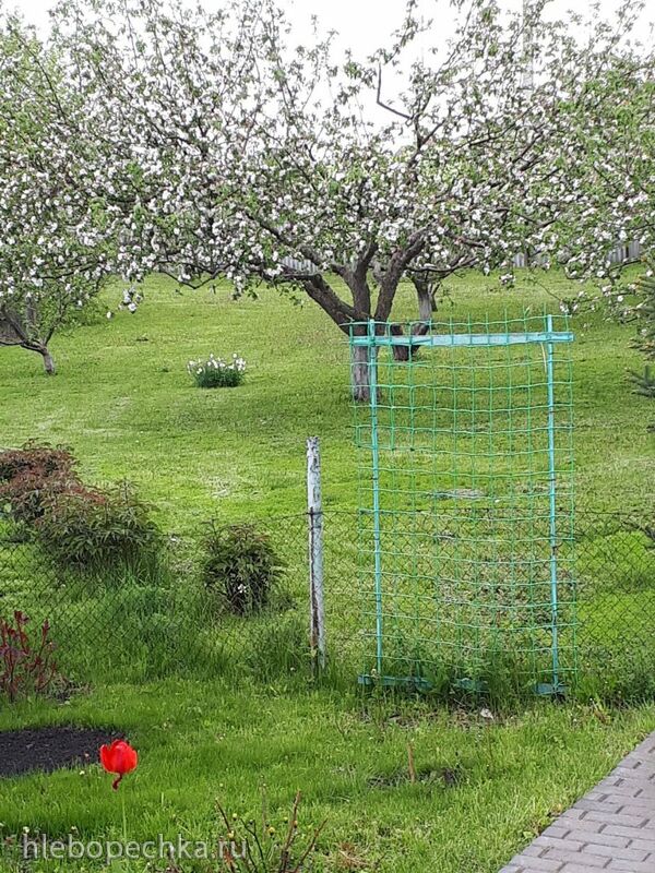 Чайная беседка