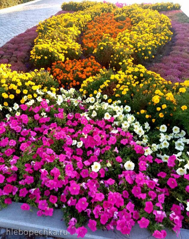 Чайная беседка