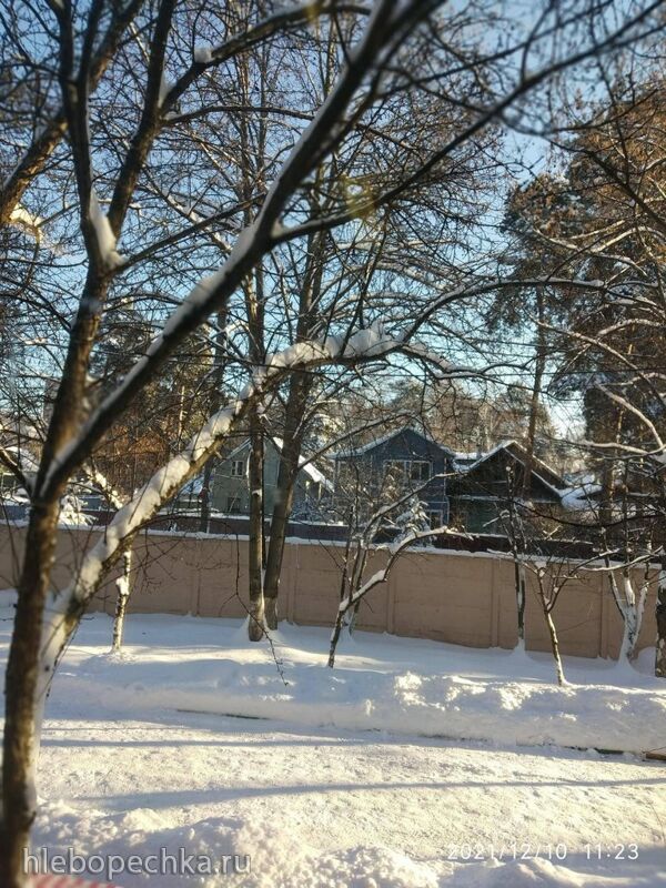 Tapтaлeтки & Ко