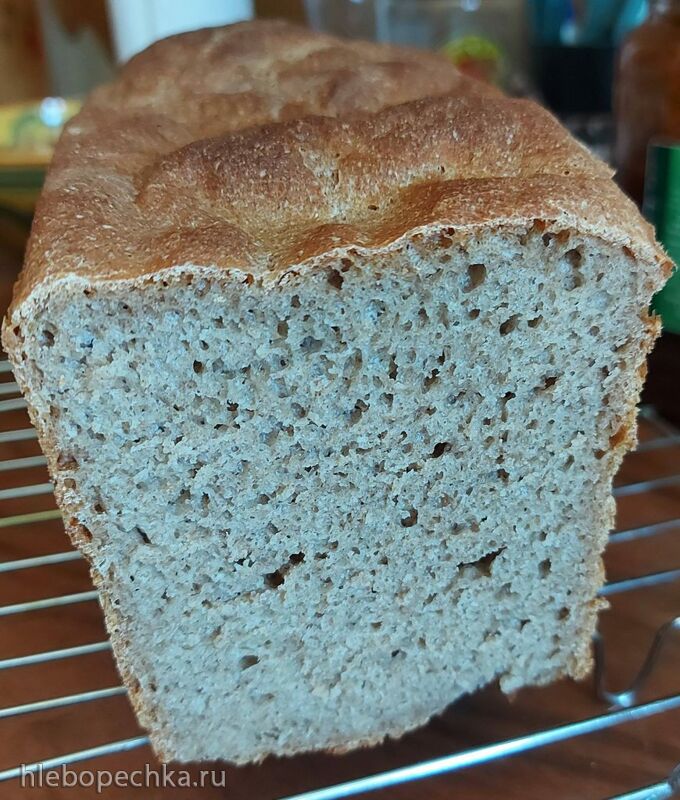 Tapтaлeтки & Ко