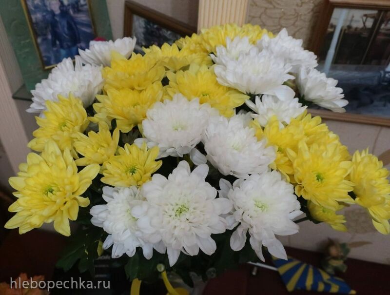 Чайная беседка