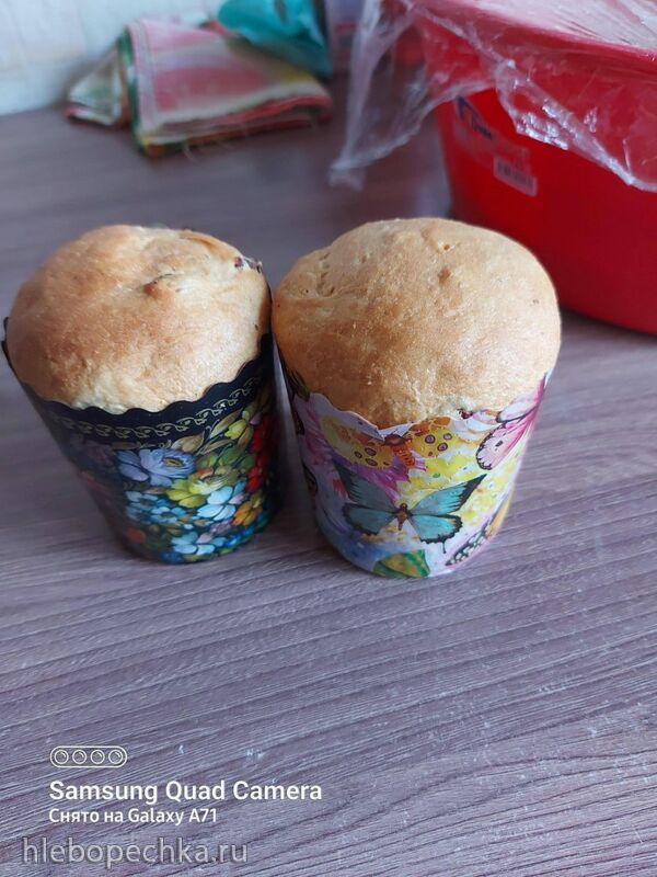 Tapтaлeтки & Ко
