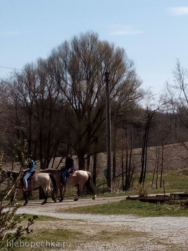 Tapтaлeтки & Ко