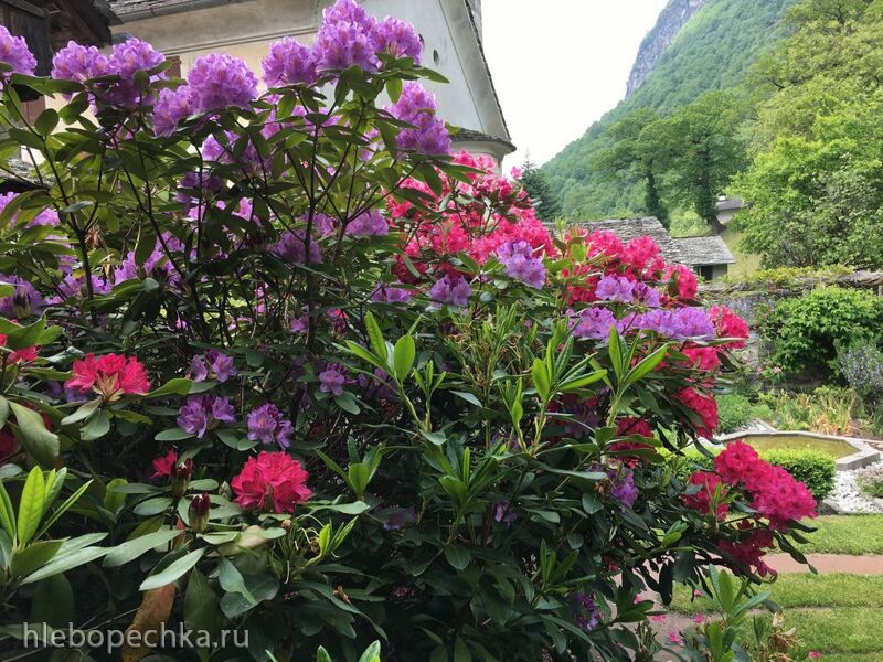 Чайная беседка