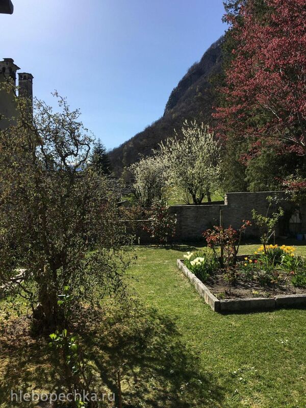 Чайная беседка