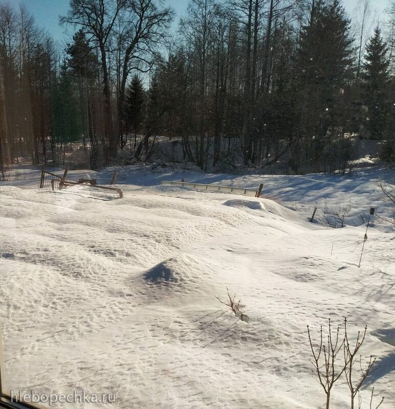 Кафе «У пани Сони»