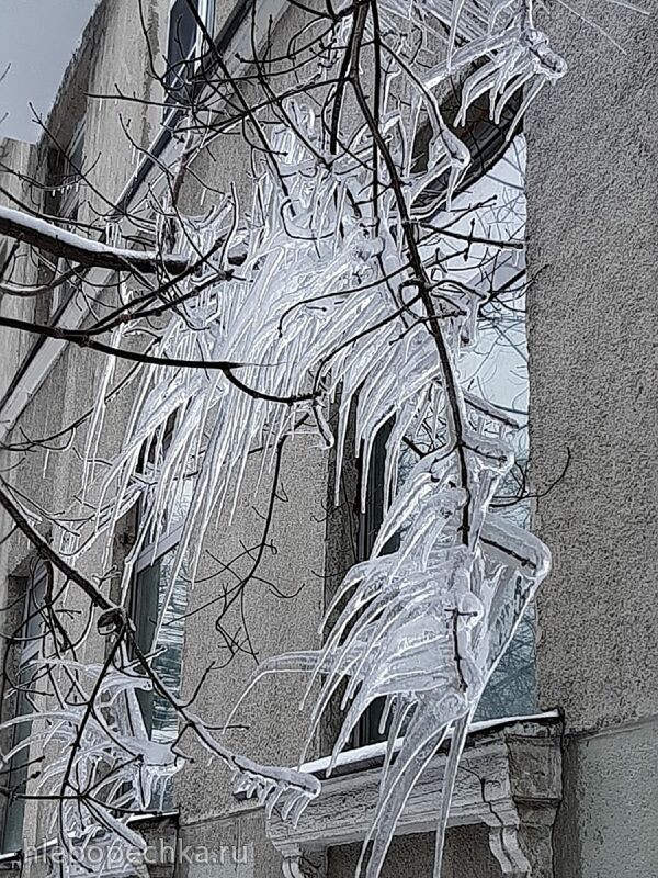 Кафе «У пани Сони»