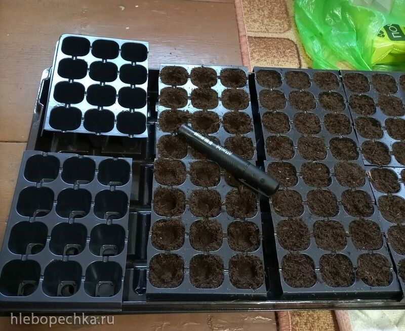 Пора выращивать рассаду