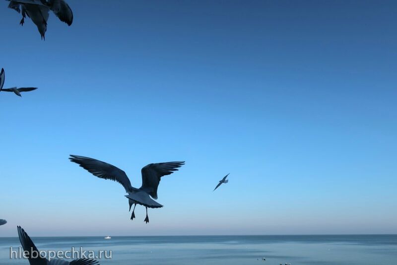 Ну здравствуй, Калининград! 35 лет спустя