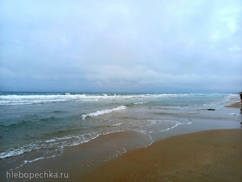 Чайная беседка