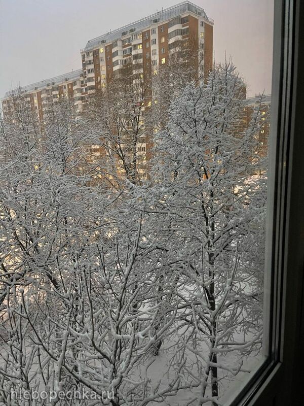 Tapтaлeтки & Ко