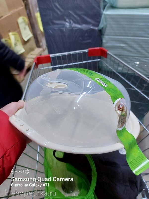 Tapтaлeтки & Ко