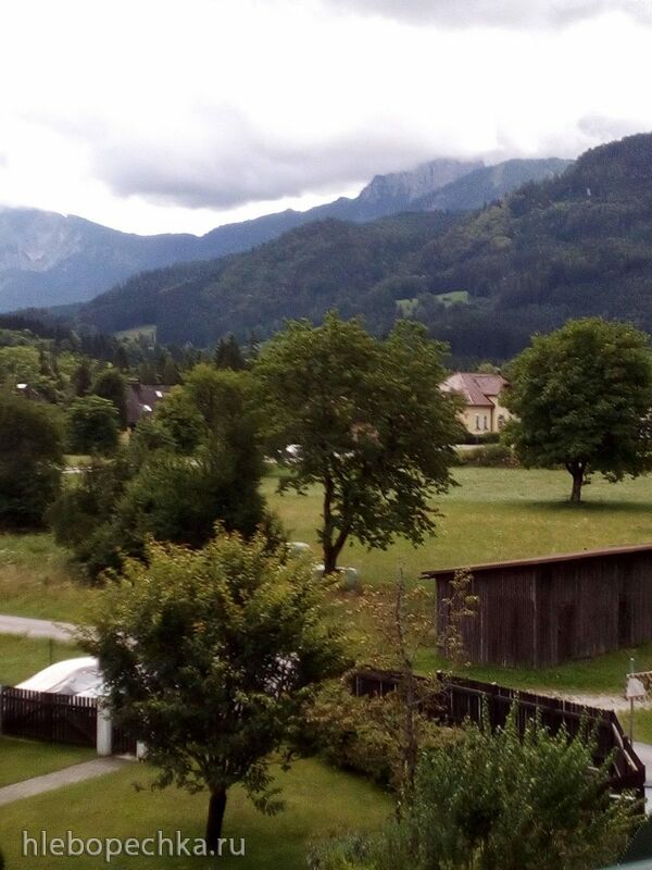 Tapтaлeтки & Ко