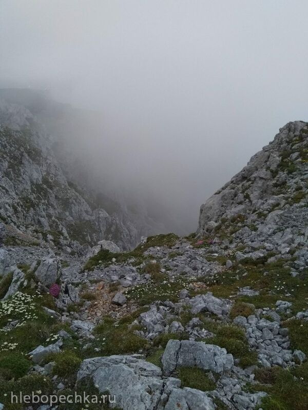 Чайная беседка