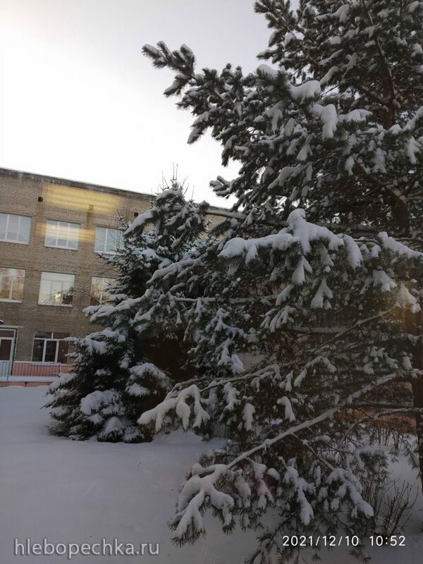 Чайная беседка