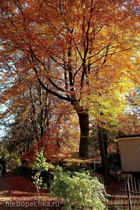 Ну здравствуй, Калининград! 35 лет спустя