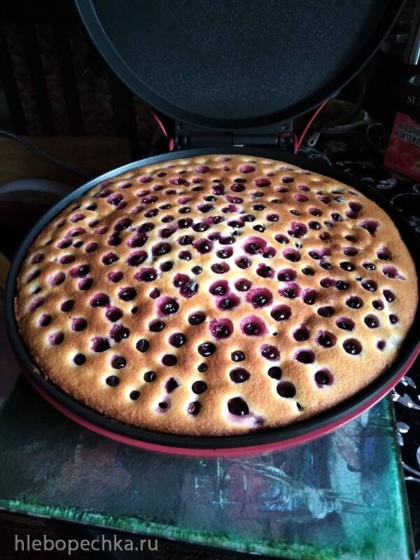 Tapтaлeтки & Ко