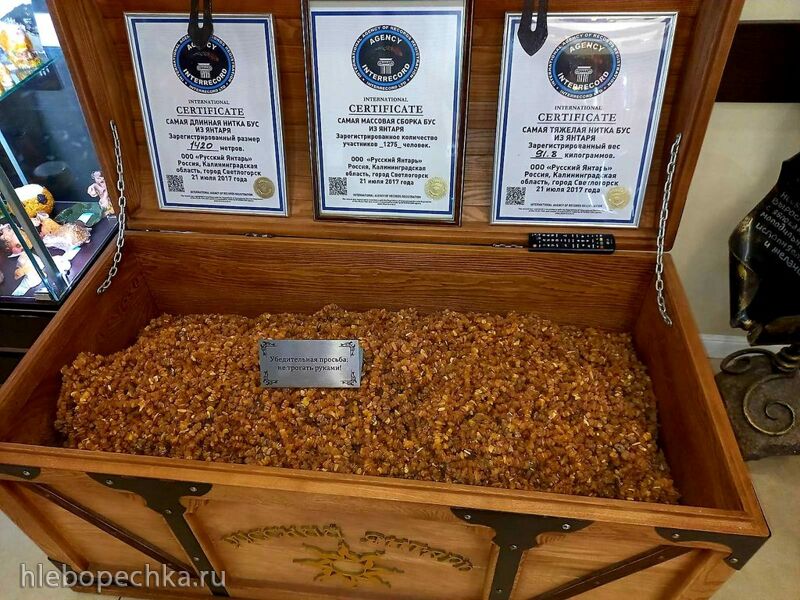 Ну здравствуй, Калининград! 35 лет спустя