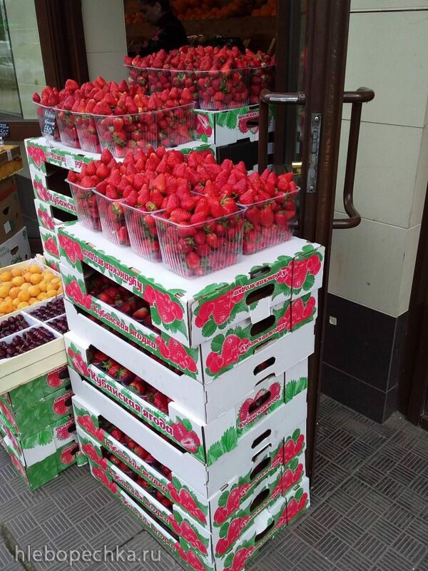 Где, что и когда купить в Москве