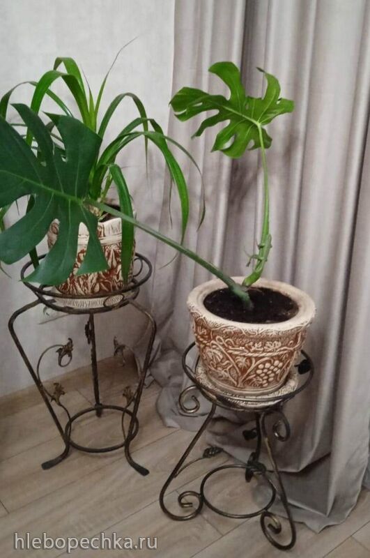 Чайная беседка