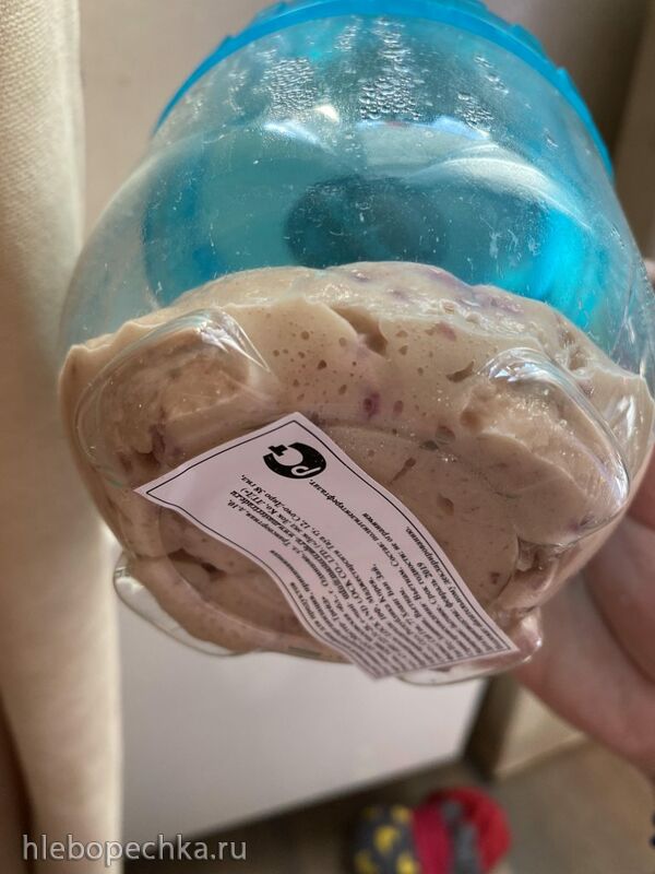 Итальянская закваска (Levito madre) - выращивание и уход