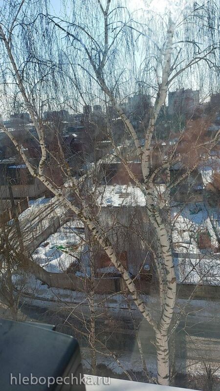 Tapтaлeтки & Ко