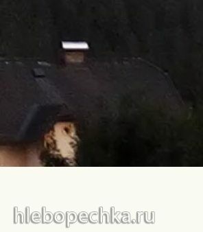 Tapтaлeтки & Ко