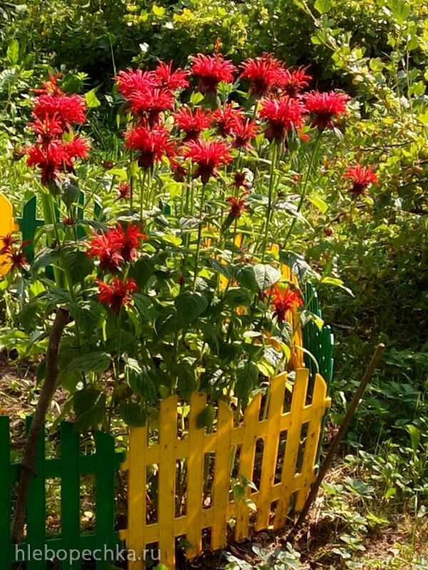 Чайная беседка