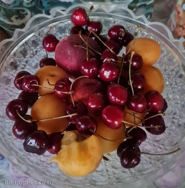 Где, что и когда купить в Москве