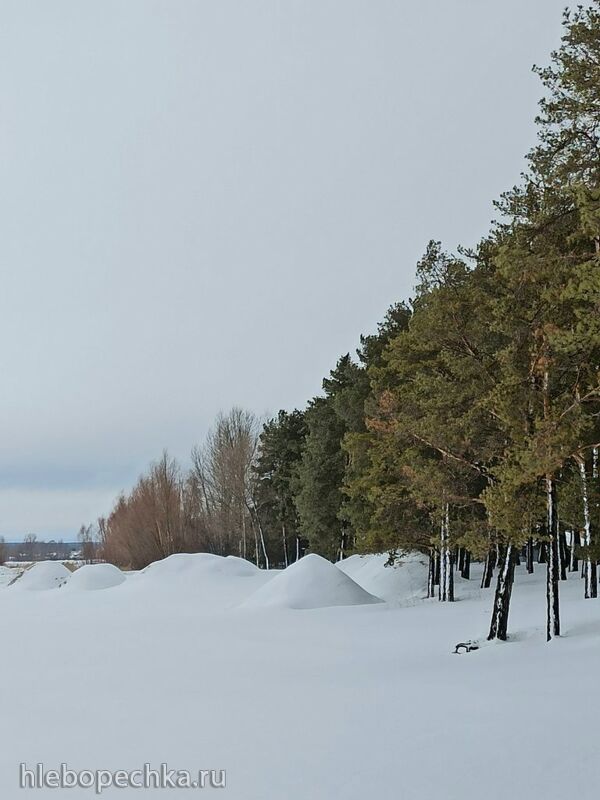 Чайная беседка