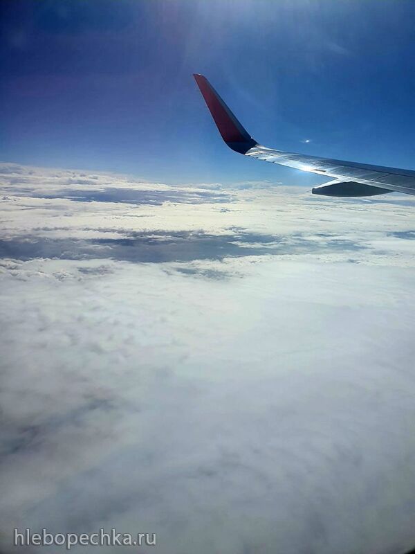 Чайная беседка