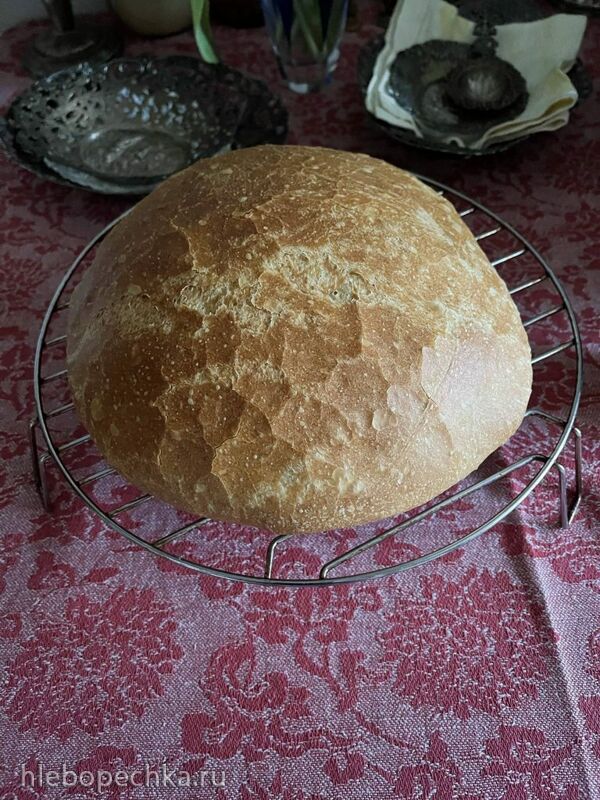 Tapтaлeтки & Ко