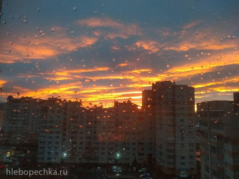 Такое разное небо