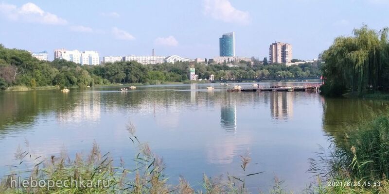 Tapтaлeтки & Ко