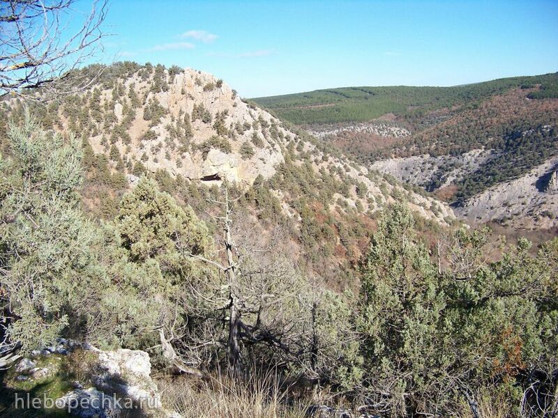 Чайная беседка