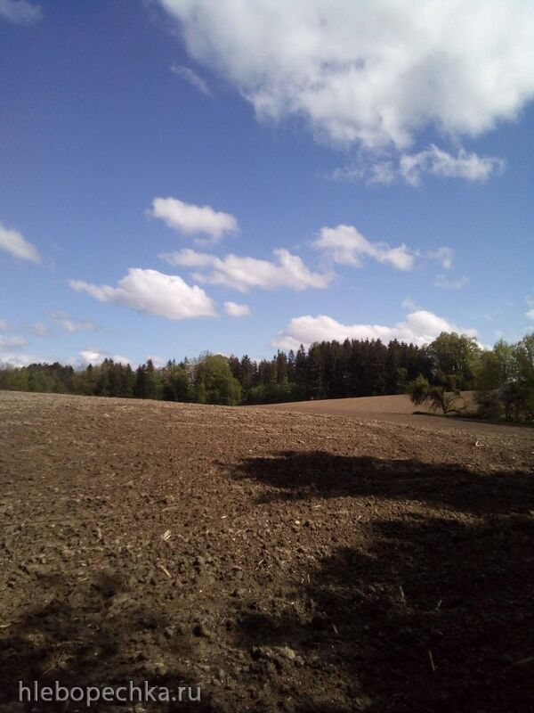 Чайная беседка